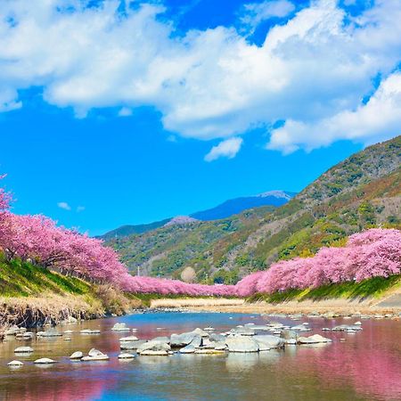 Ramjet Kisami Beach House Shimoda - Enjoy Sakura, Beach And Bbq! Exteriér fotografie